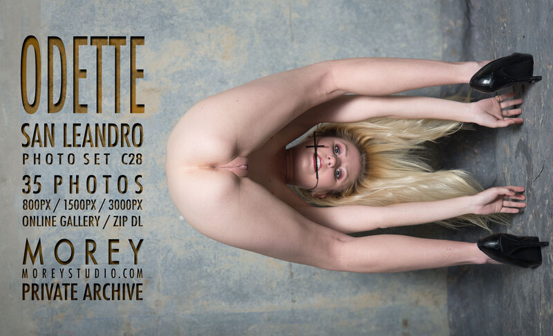 New gallery update erotic nude model photos by craig morey